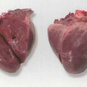 Buy-Quality-Grade-A-Frozen-Buffalo-Heart-300x300-1