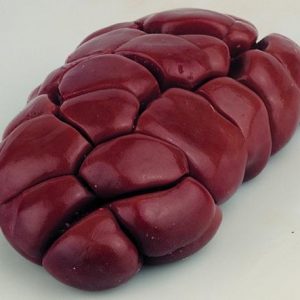 Buy-Quality-Grade-A-Frozen-Buffalo-Kidney-300x300-1