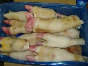 Buy-Quality-Grade-A-Frozen-Cow-Leg-300x225-1