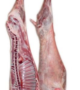 Buy-Quality-Grade-A-Frozen-Lamb-Half-Carcass-266x300-1