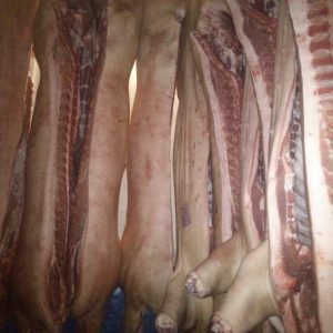 Buy-Quality-Grade-A-Frozen-Pork-Half-Carcase-300x300-1