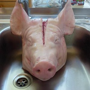 Buy-Quality-Grade-A-Frozen-Pork-Head-300x300-1