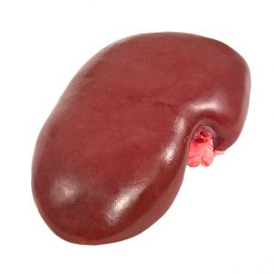 Buy-Quality-Grade-A-Frozen-Pork-Kidneys-300x300-1