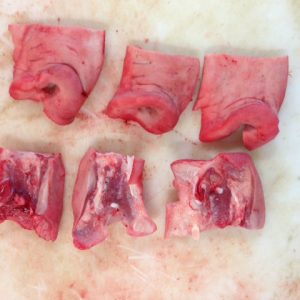 Buy-Quality-Grade-A-Frozen-Pork-Snout-300x300-1