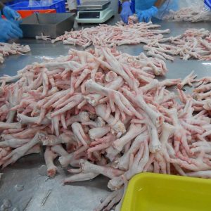 Buy-Quality-Grade-A-Halal-Frozen-Chicken-Feet-300x300-1