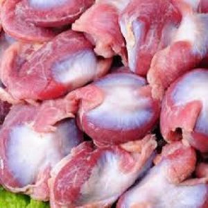 Buy-Quality-Grade-A-Halal-Frozen-Chicken-Gizzards-300x300-1